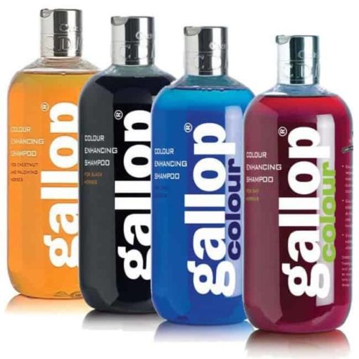 Gallop Color Enhancing Shampoo